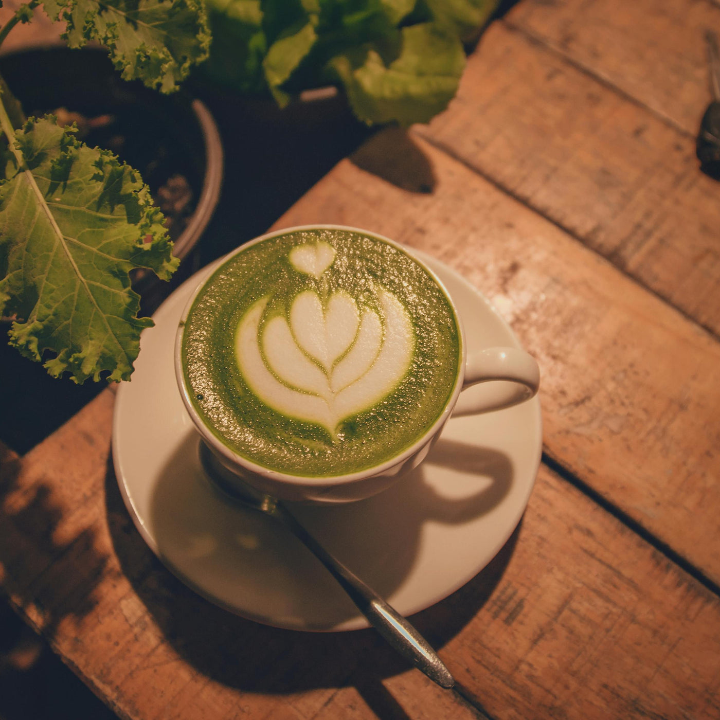 Natural Yerba Mate Tea Powder for Quick Refreshment